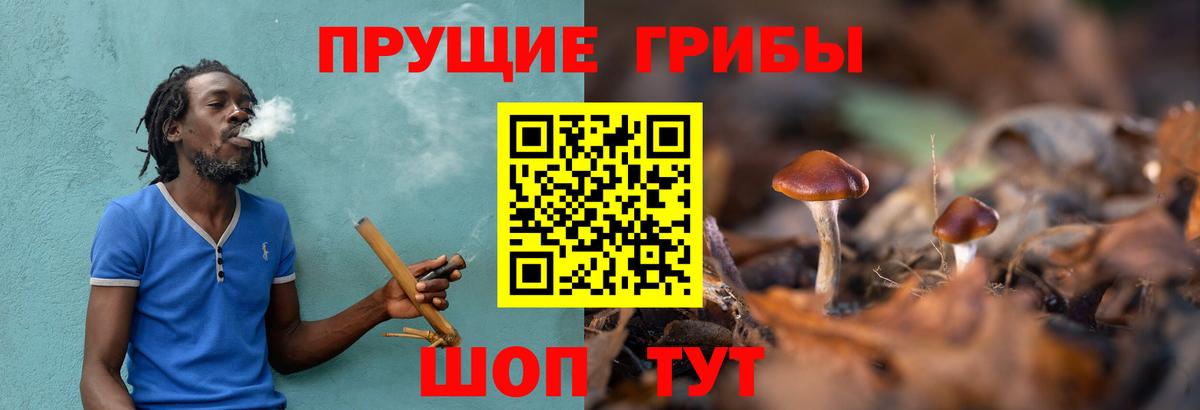 Владимир  Галлюциногенные грибы мицелий  где купить   Вход с VPN 