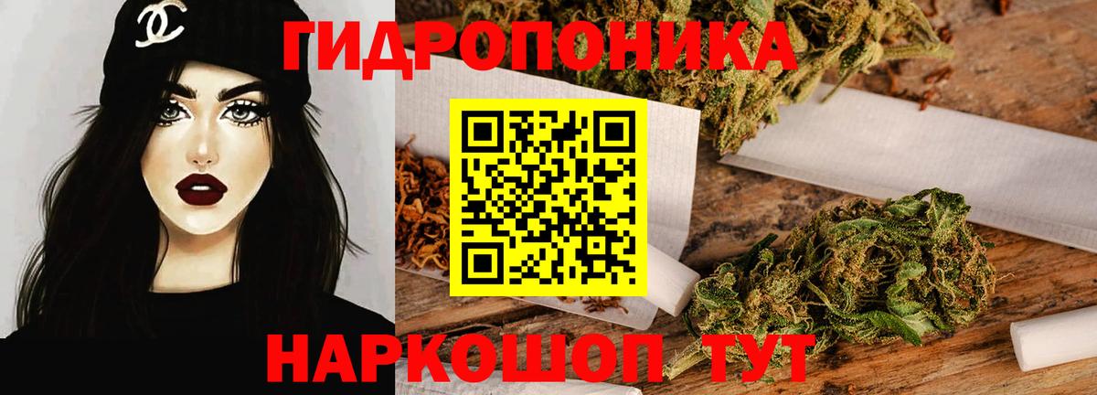 МАРИХУАНА семена  Вход с VPN  Владимир  Конопля тримм  Конопля Bruce Banner 